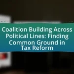 Coalition Building Across Political Lines: Finding Common Ground in Tax Reform