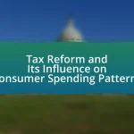 Tax Reform and Its Influence on Consumer Spending Patterns