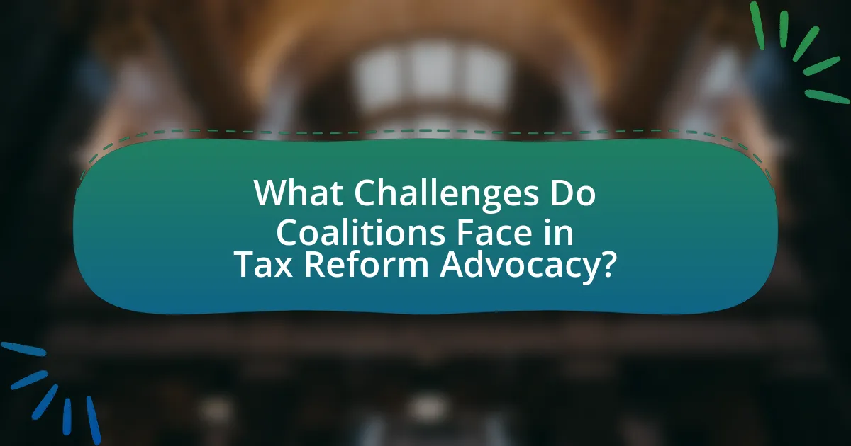 What Challenges Do Coalitions Face in Tax Reform Advocacy?