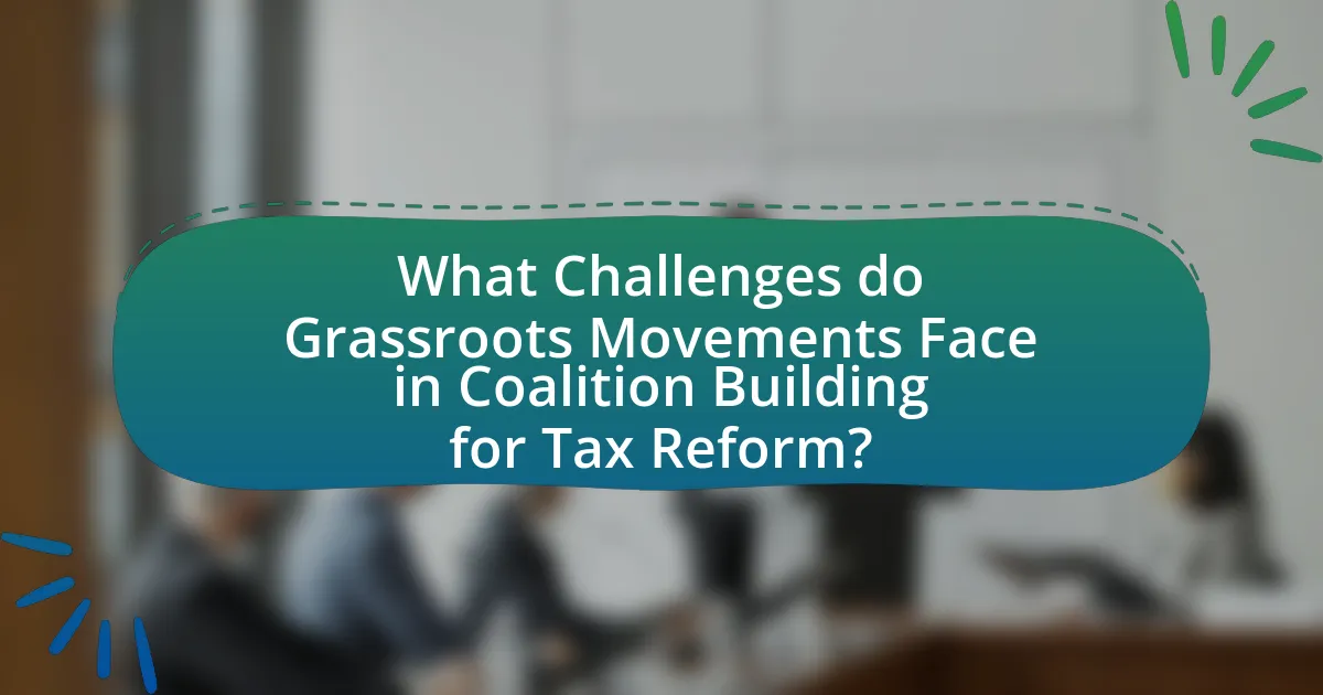 What Challenges do Grassroots Movements Face in Coalition Building for Tax Reform?