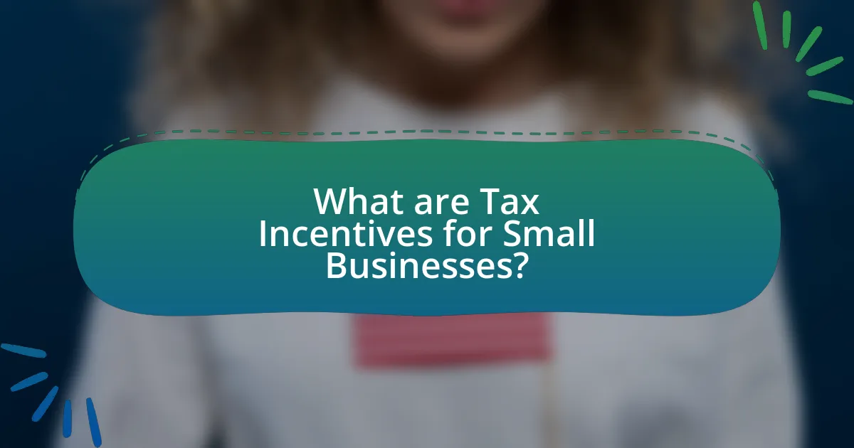 What are Tax Incentives for Small Businesses?
