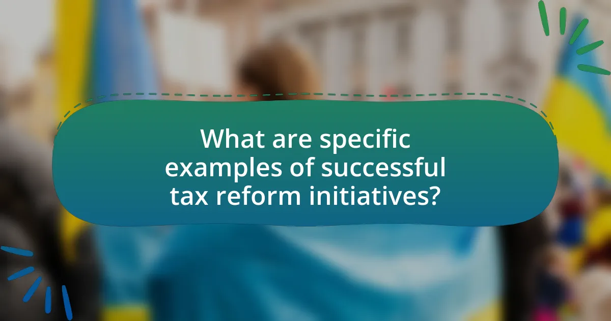 What are specific examples of successful tax reform initiatives?