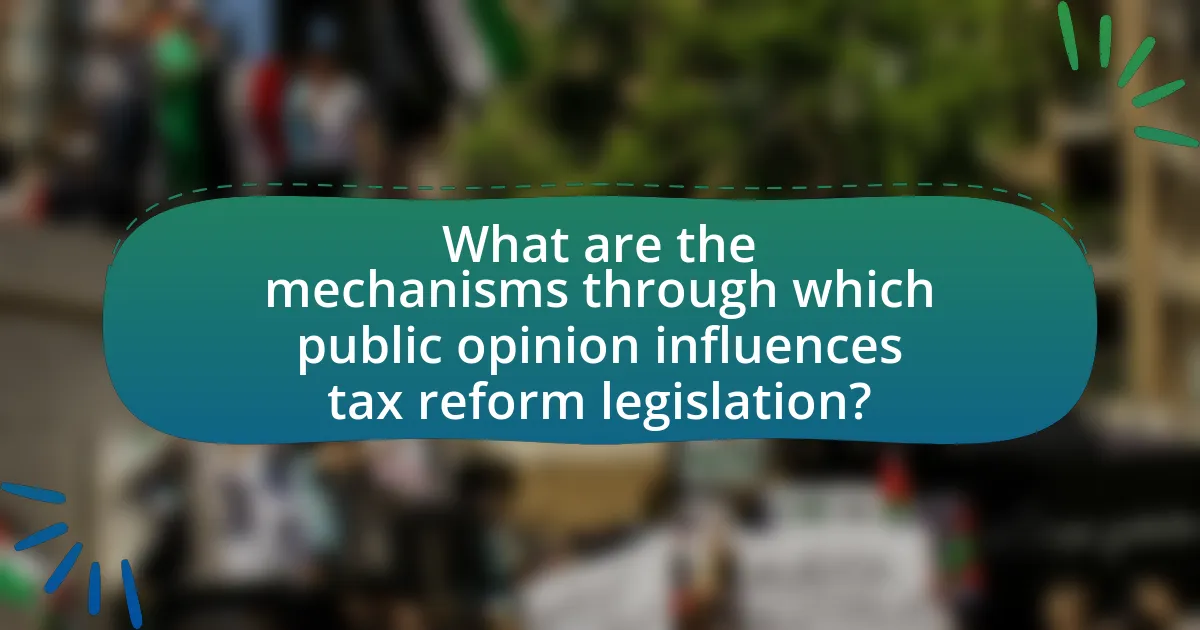 What are the mechanisms through which public opinion influences tax reform legislation?