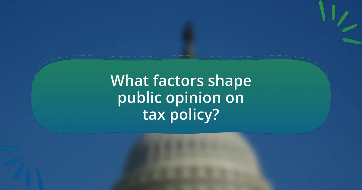 What factors shape public opinion on tax policy?