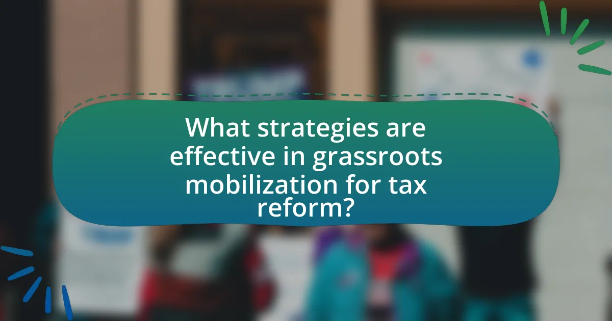 What strategies are effective in grassroots mobilization for tax reform?